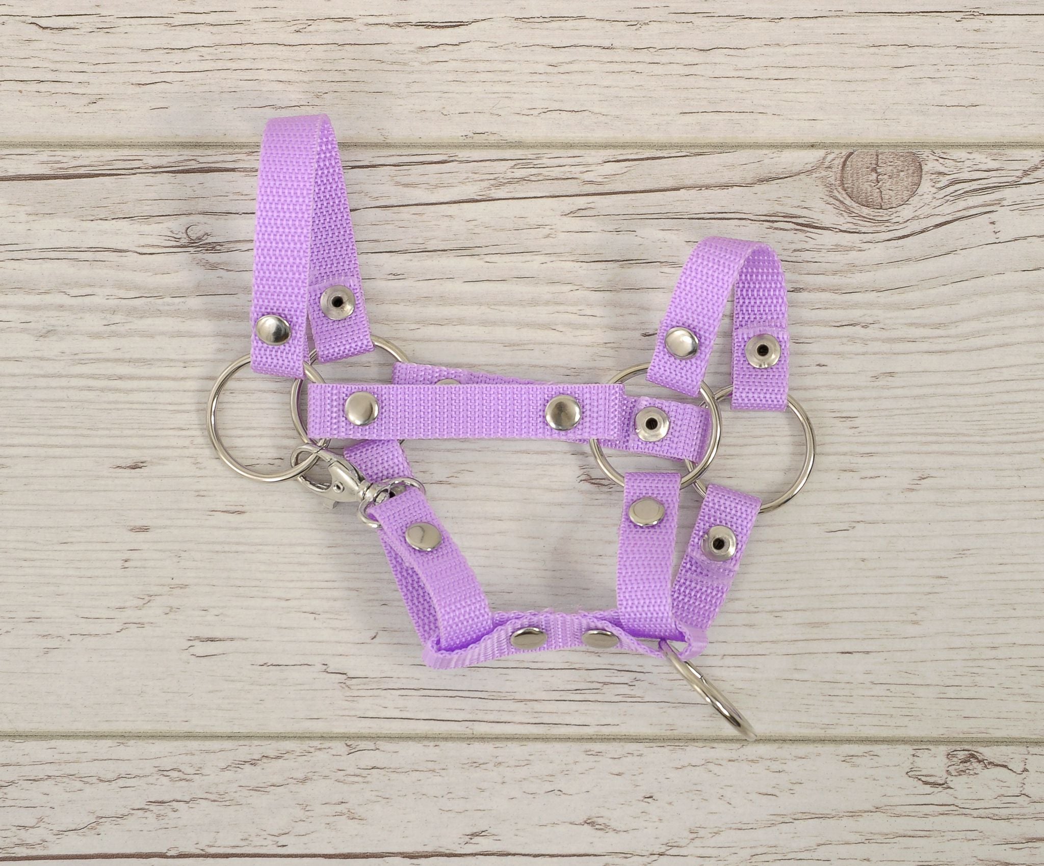 Hobby Horse halter A4 and A5 universal - purple