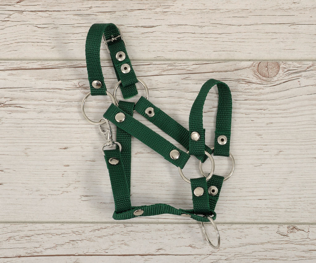 The adjustable halter for Hobby Horse A3 - bottle green