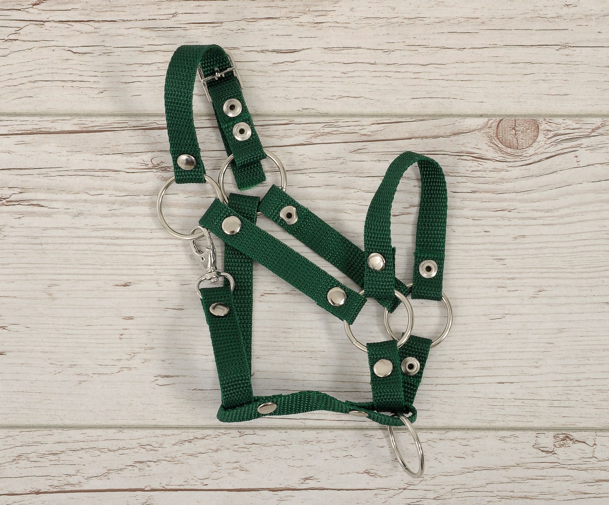 The adjustable halter for Hobby Horse A3 - bottle green