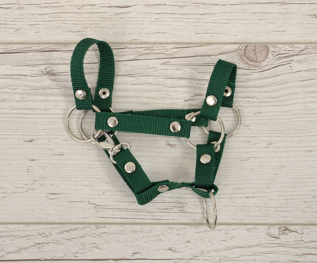 Hobby Horse halter A4 and A5 universal - bottle green