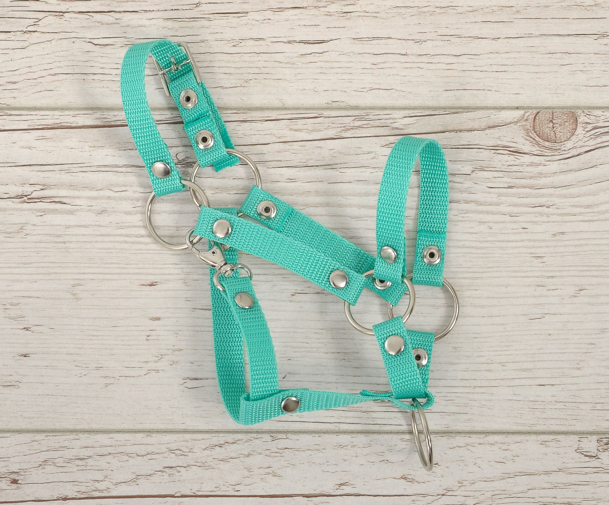 The adjustable halter for Hobby Horse A3 - mint