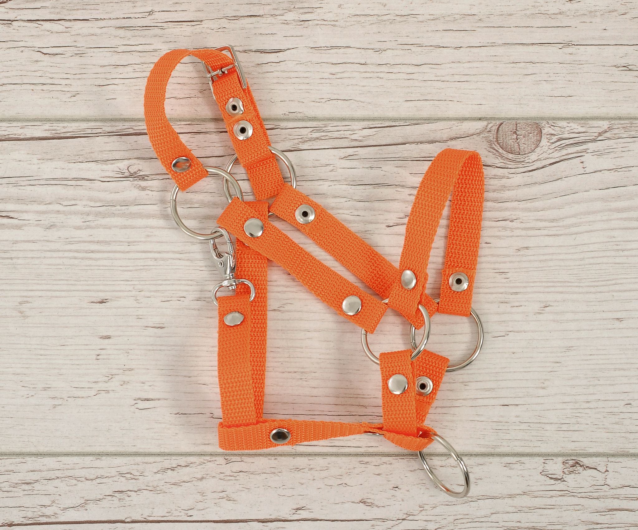 The adjustable halter for Hobby Horse A3 - orange