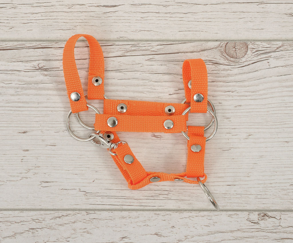 Hobby Horse halter A4 and A5 universal - orange