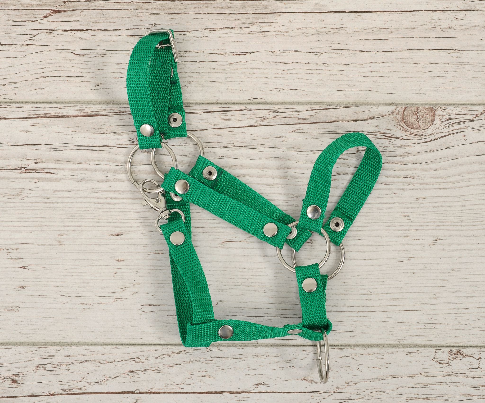 The adjustable halter for Hobby Horse A3 - green
