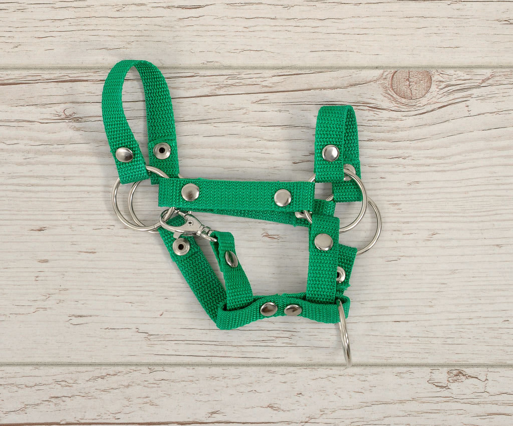Hobby Horse halter A4 and A5 universal - green