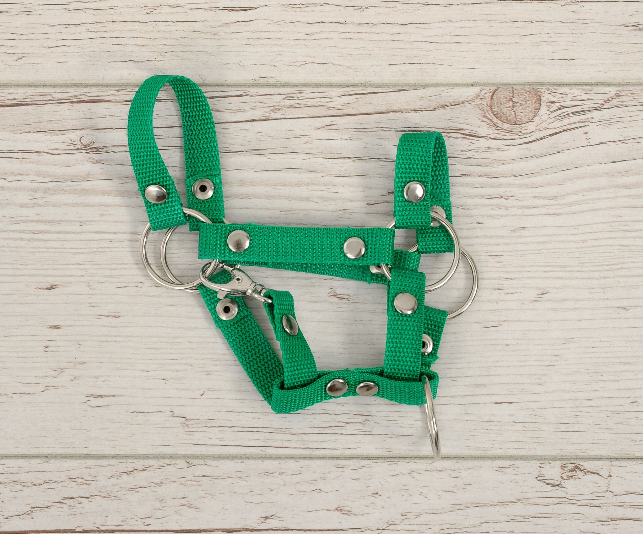 Hobby Horse halter A4 and A5 universal - green