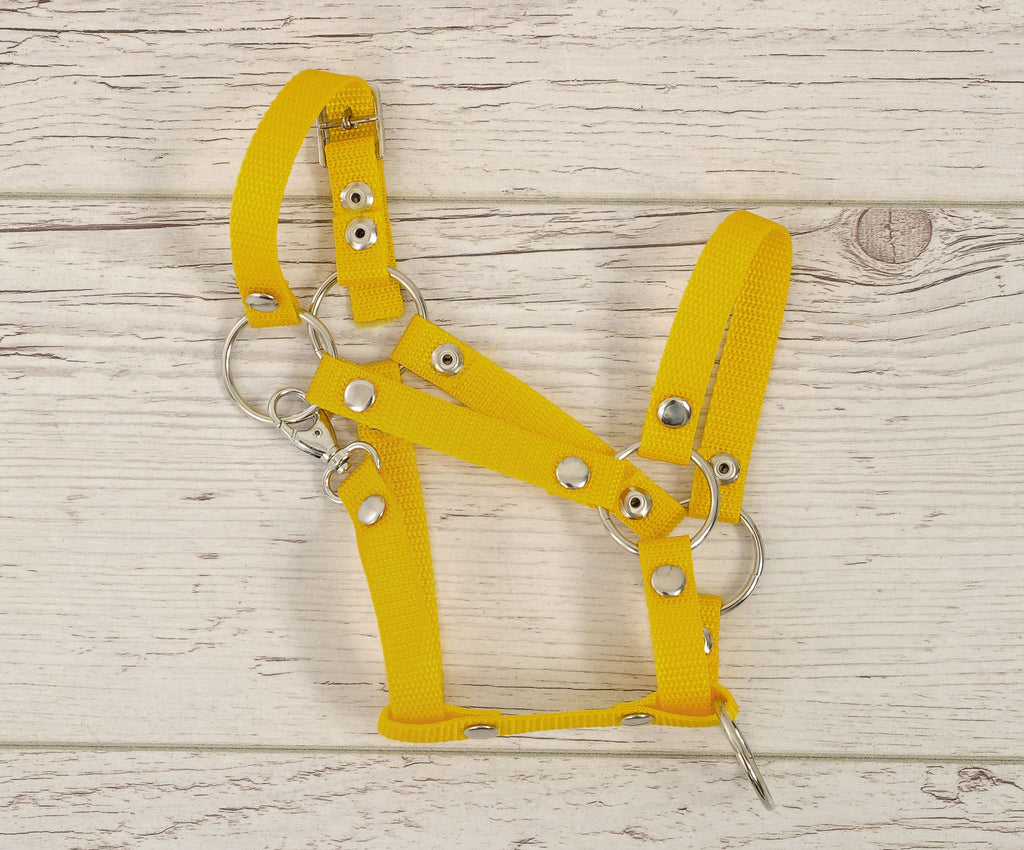 The adjustable halter for Hobby Horse A3 - yellow