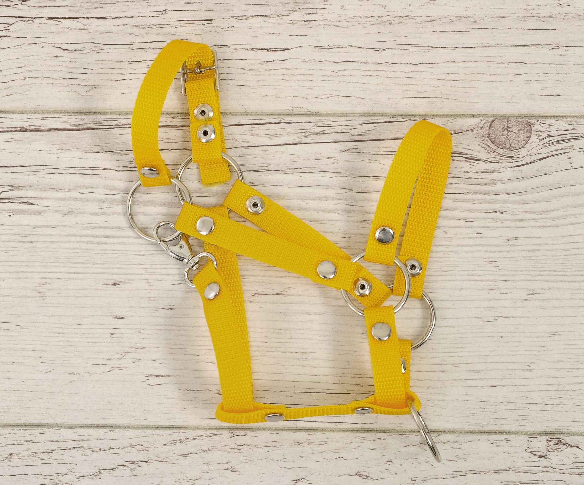 The adjustable halter for Hobby Horse A3 - yellow