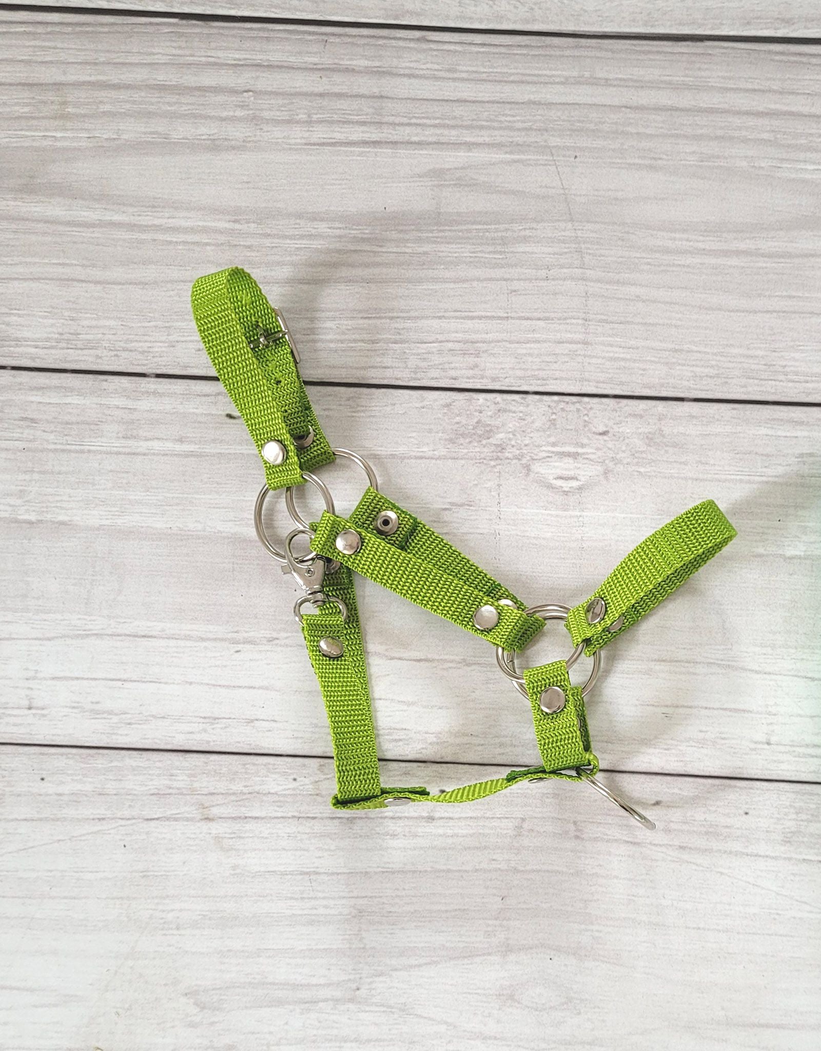 The adjustable halter for Hobby Horse A3 - lime