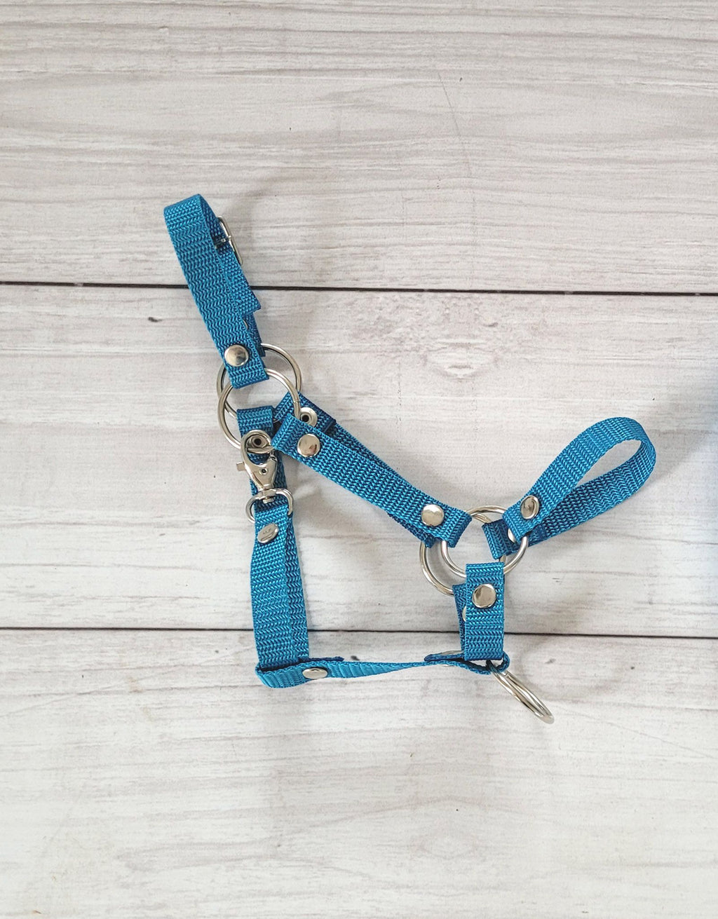 The adjustable halter for Hobby Horse A3 - turquoise