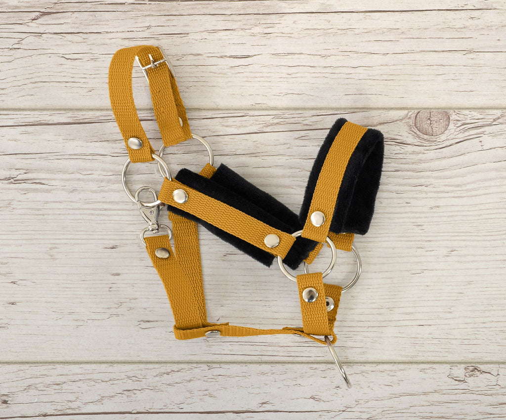 Set for Hobby Horse: the halter A3 with black furry + Tether made of cord - black-honey yellow