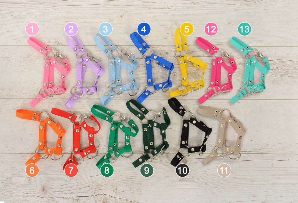 Hobby Horse halter A4 and A5 universal - blue