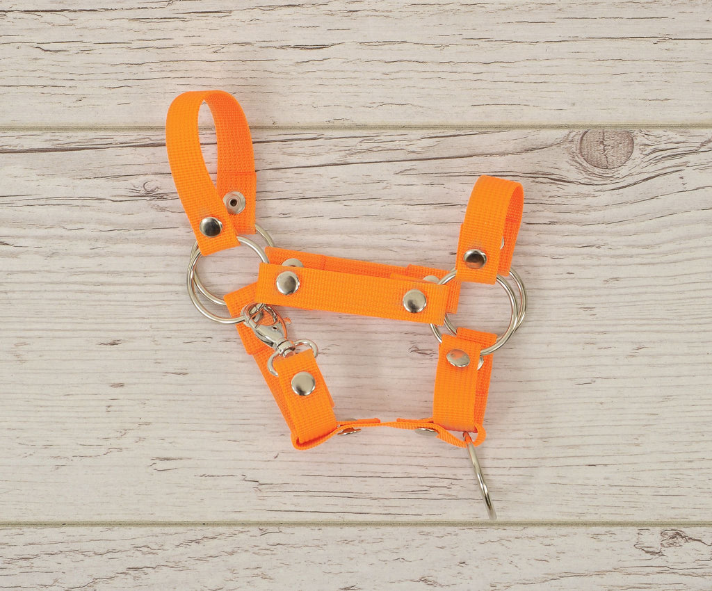 Hobby Horse halter A4 and A5 universal - neon orange