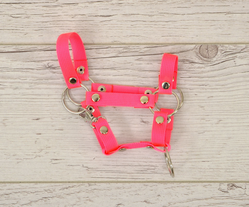 Hobby Horse halter A4 and A5 universal - neon pink
