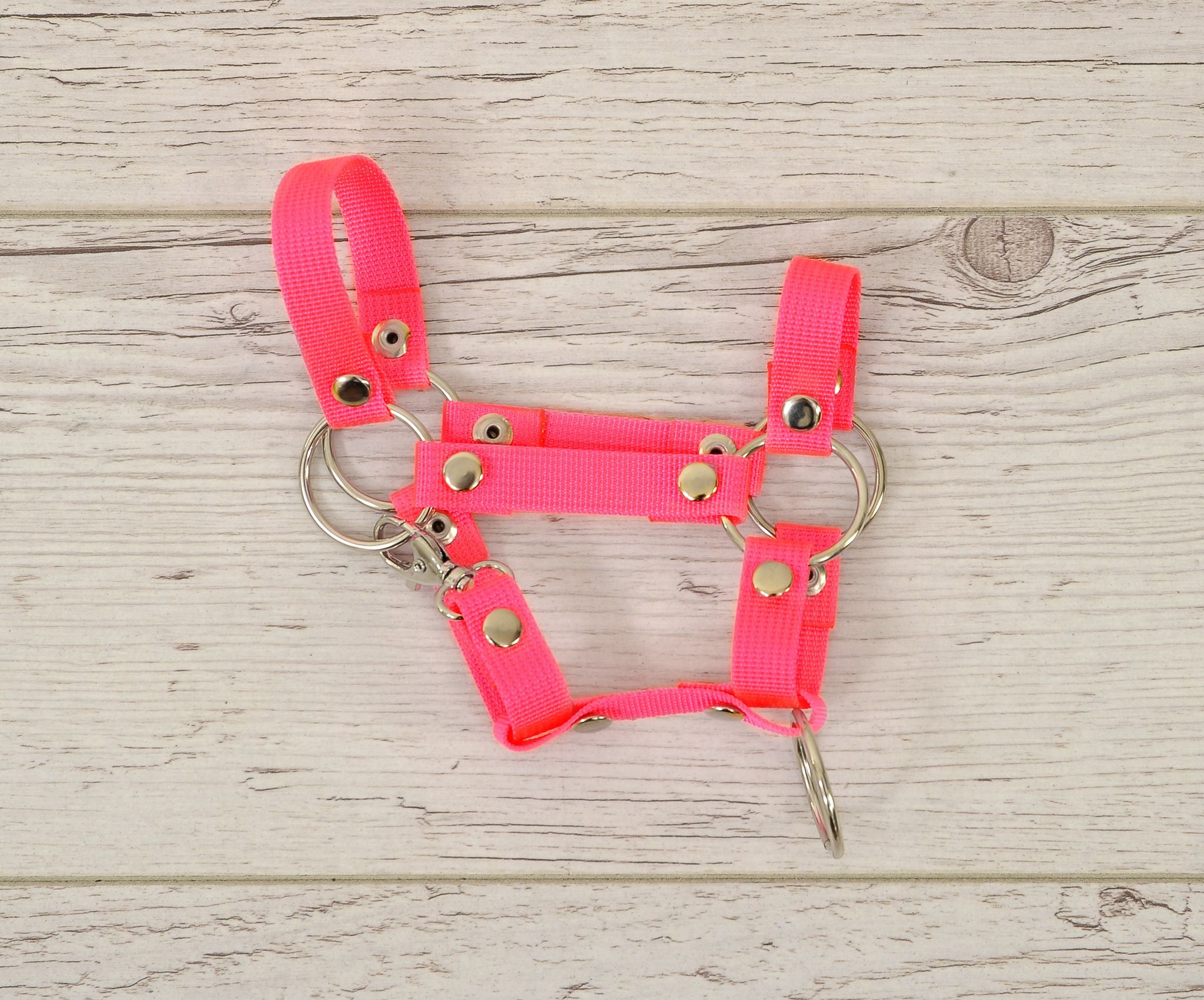 Hobby Horse halter A4 and A5 universal - neon pink