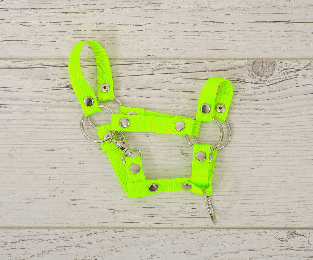 Hobby Horse halter A4 and A5 universal - neon green