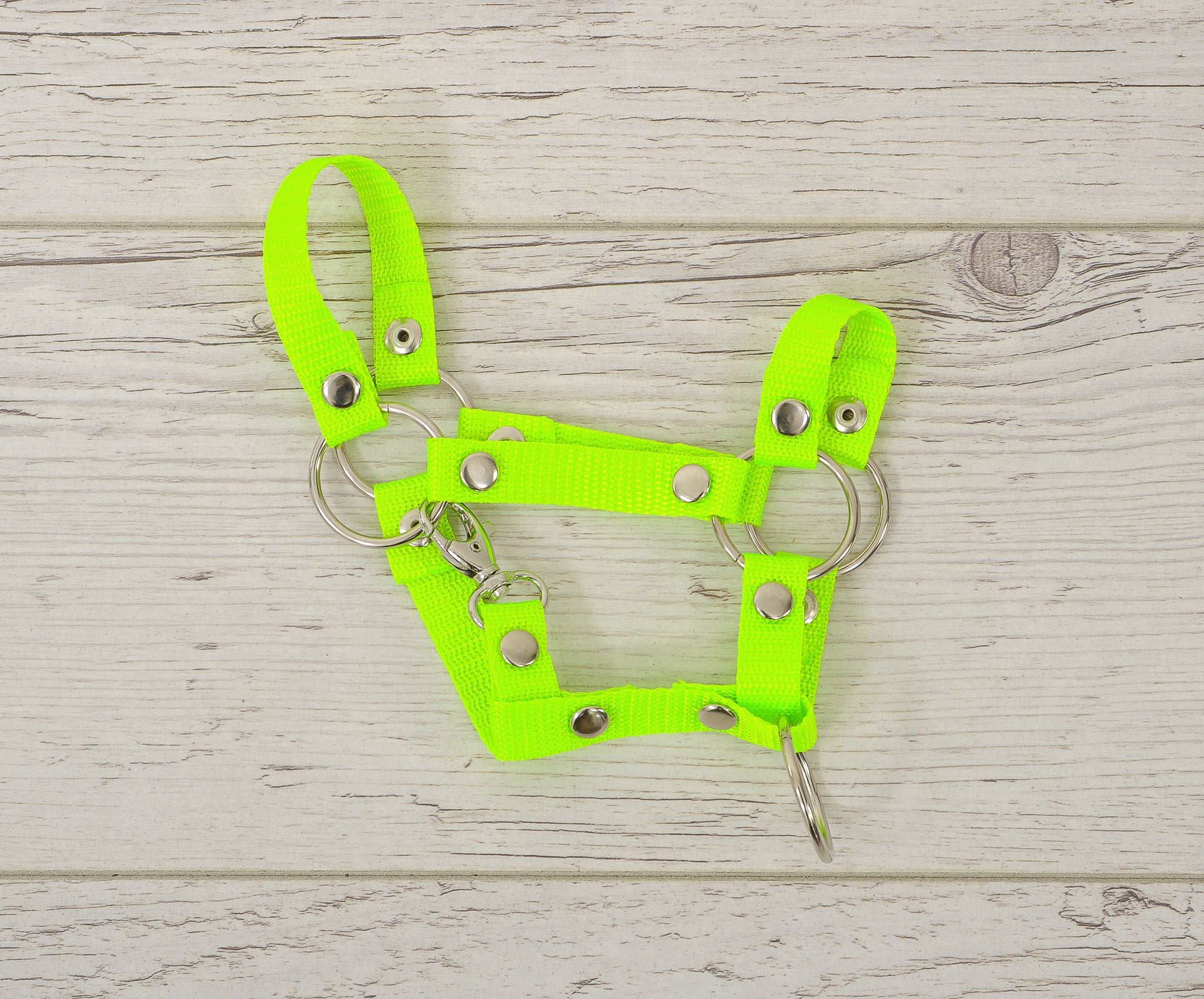 Hobby Horse halter A4 and A5 universal - neon green