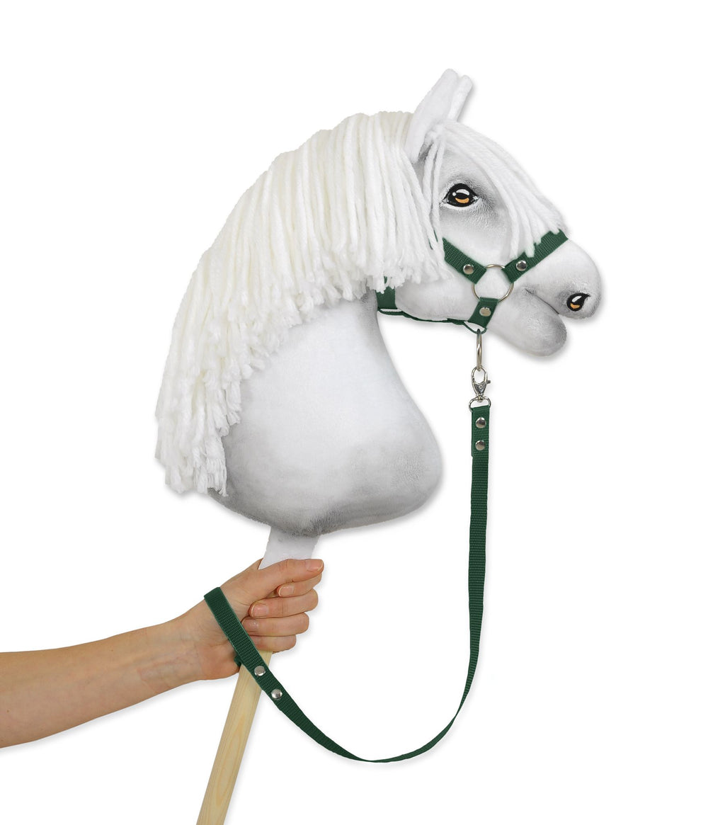 Tether for hobby horse made of webbing tape - bottle green