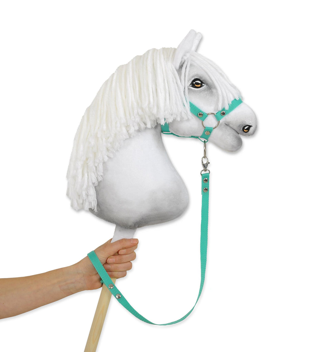 Tether for hobby horse made of webbing tape - mint