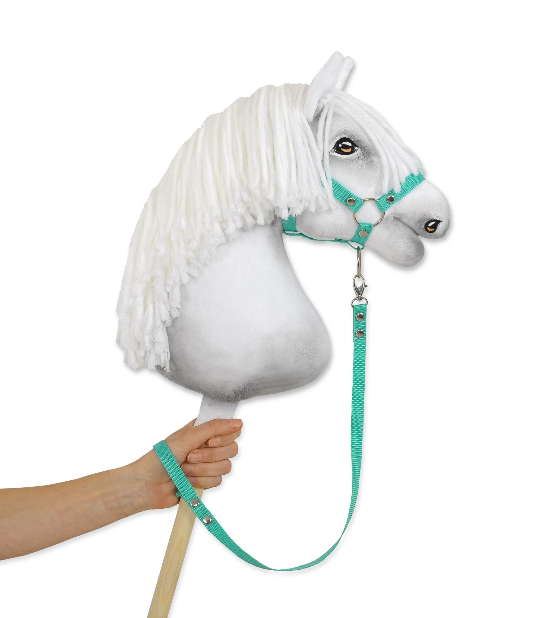 Tether for hobby horse made of webbing tape - mint