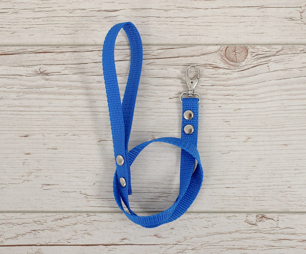 Tether for hobby horse made of webbing tape - blue
