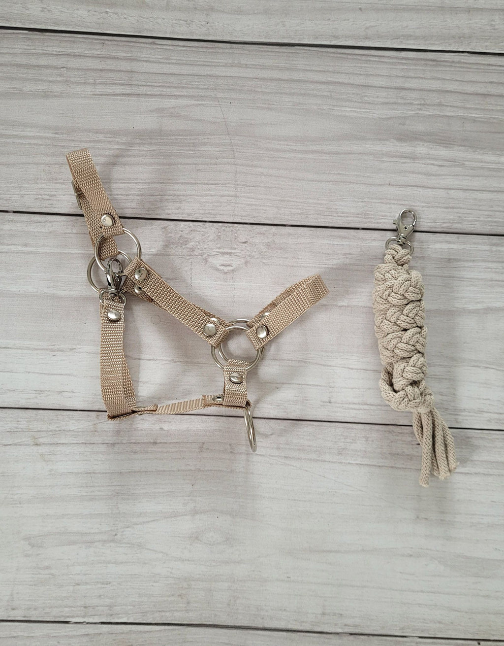 Set for Hobby Horse: the halter A3 + Tether made of cord - beige