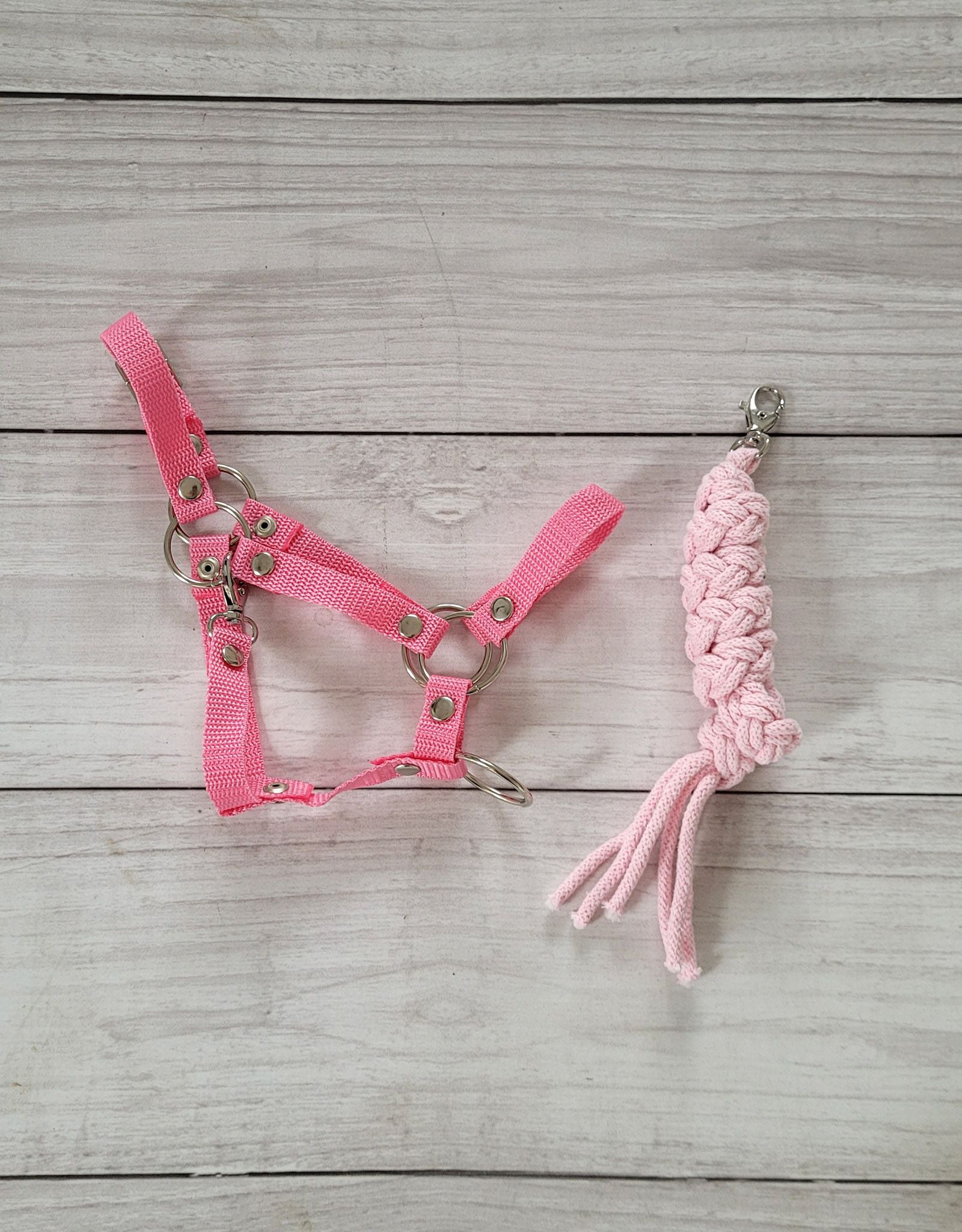 Set for Hobby Horse: the halter A3 + Tether made of cord - pink
