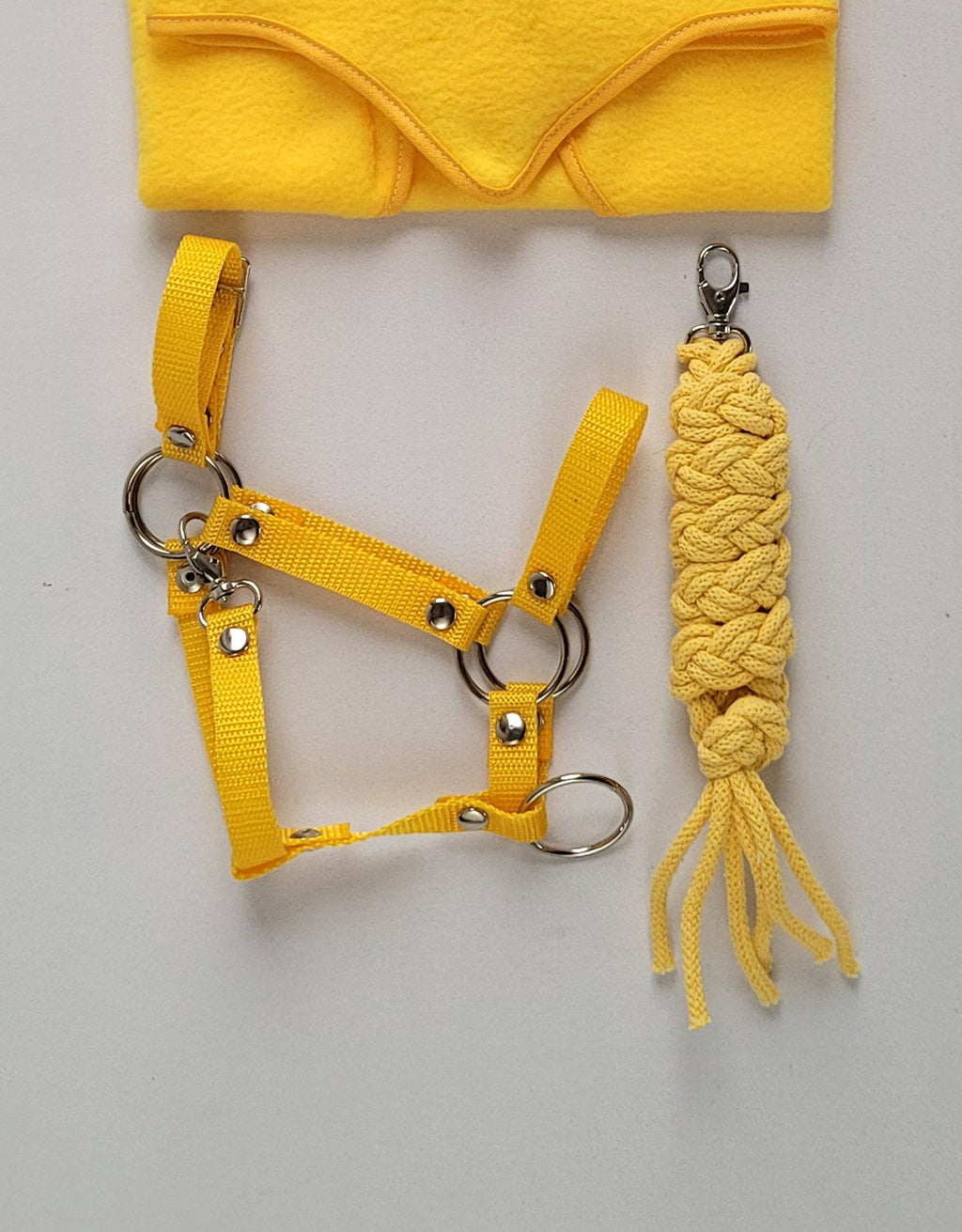 Set for Hobby Horse: the halter A3 + Tether made of cord - yellow