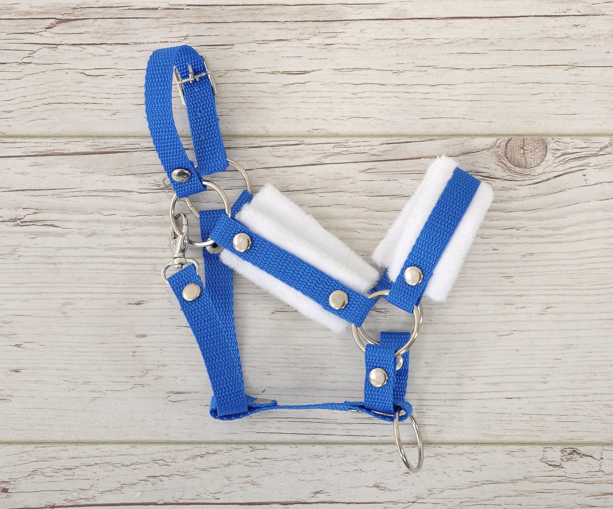 The adjustable halter for Hobby Horse A3 - blue with white furry