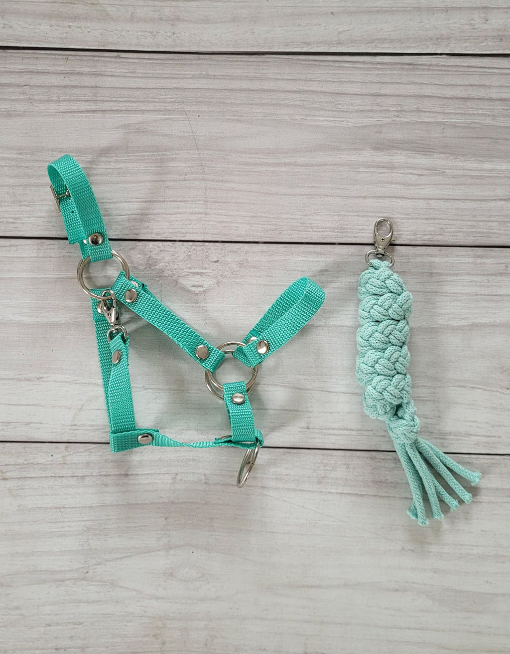 Set for Hobby Horse: the halter A3 + Tether made of cord - mint