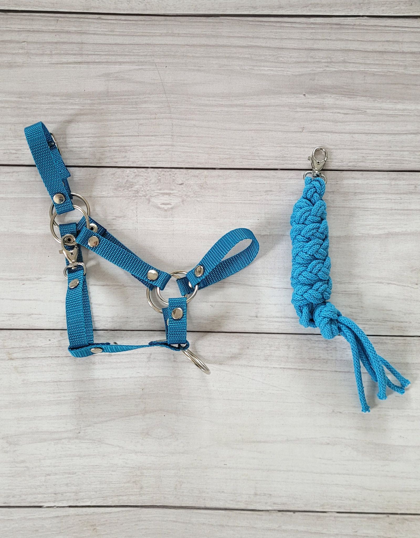 Set for Hobby Horse: the halter A3 + Tether made of cord - turquoise