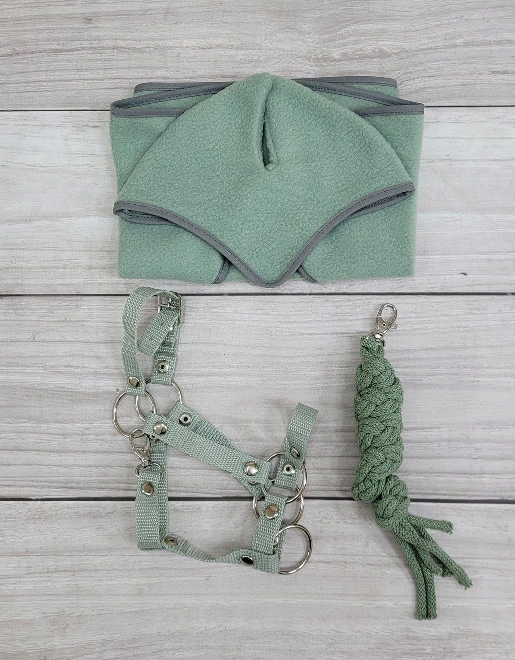 Set for Hobby Horse: the halter A3 + Tether made of cord - sage